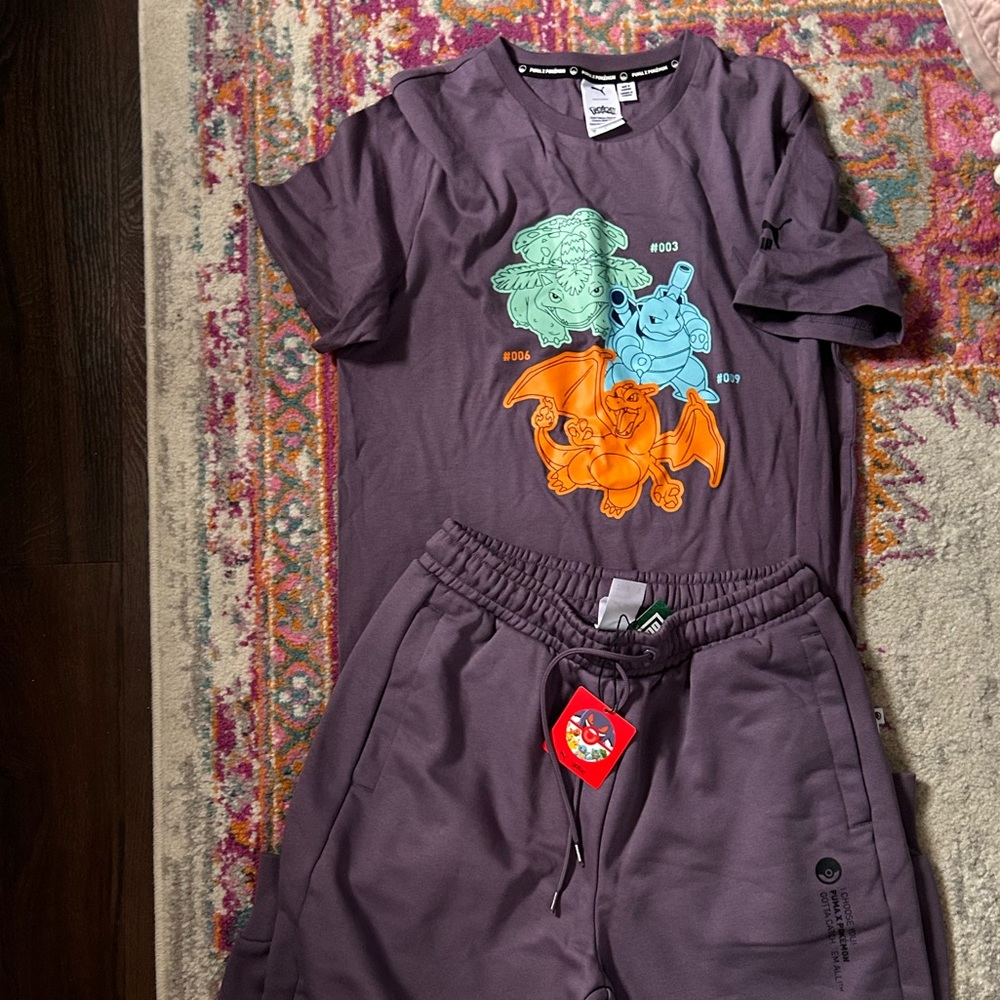 Pokémon Puma set